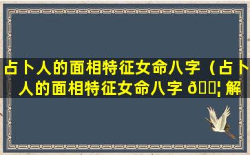 占卜人的面相特征女命八字（占卜人的面相特征女命八字 🐦 解 🐠 析）